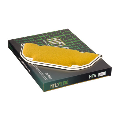Φίλτρο αέρα HIFLO HFA2905